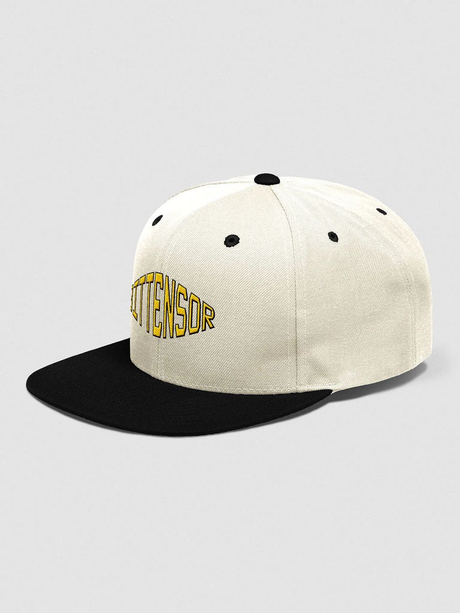 (5/20) Bittensor Cap product image (3)