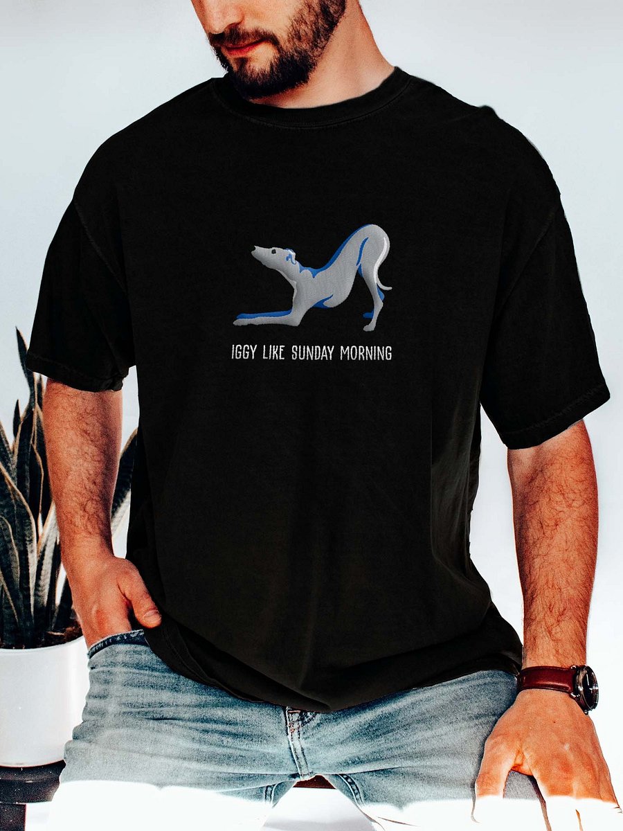 Iggy Like Sunday Morning T-Shirt(Embroidered) of an Italian Greyhound(Blue) product image (2)
