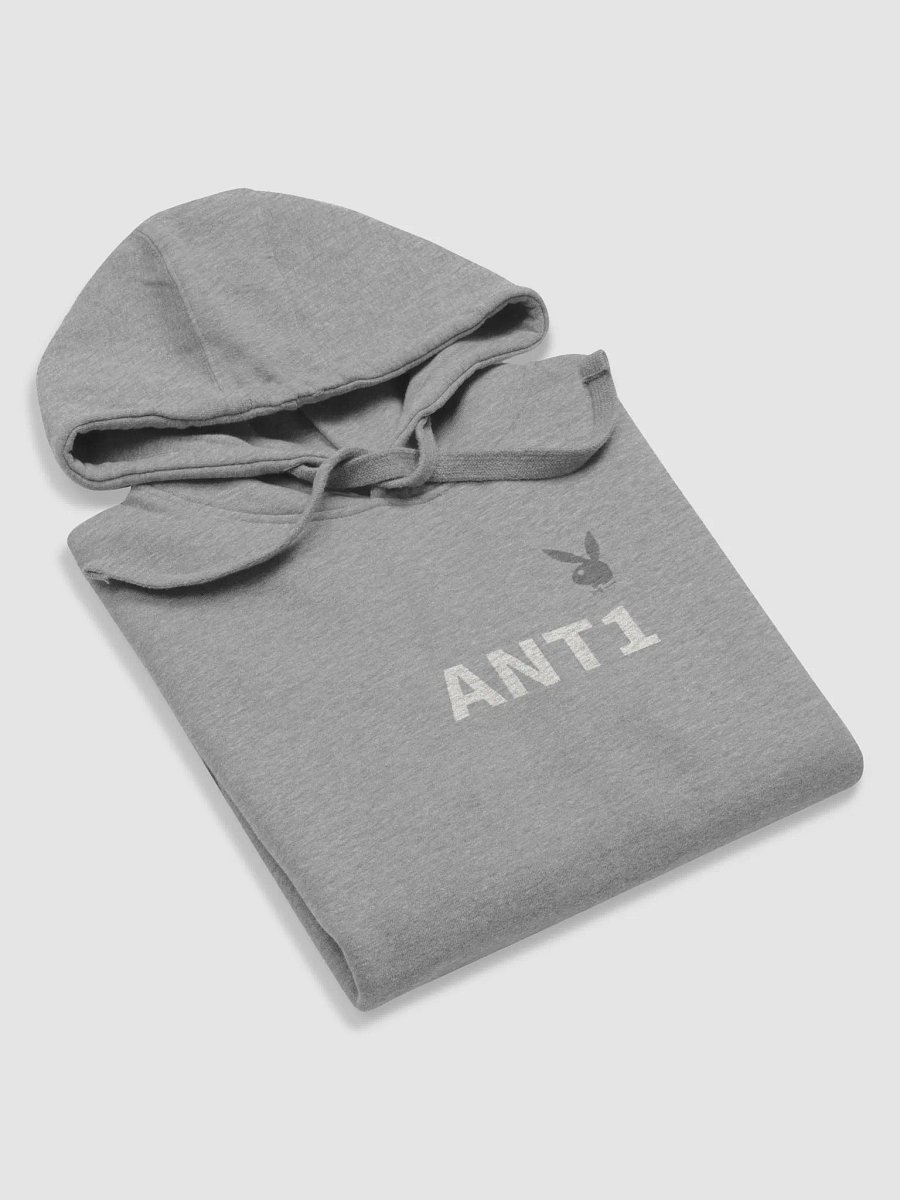 grey ANT1 hoodie product image (6)
