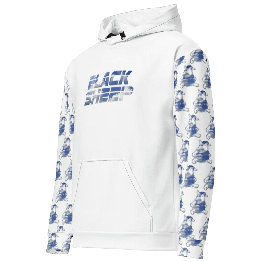 The Sky Is The Limit(Hoodie) product image (9)