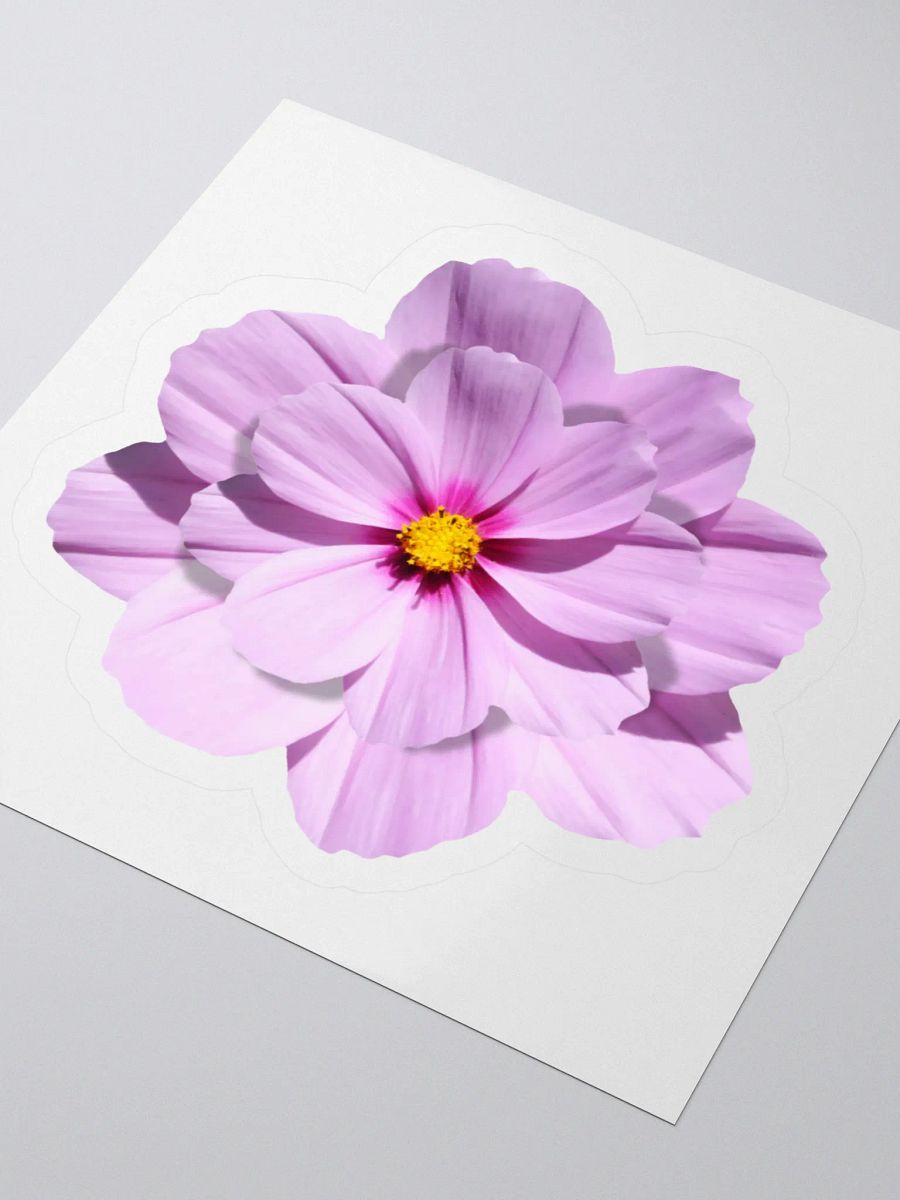 Realistic Pink Blossom Sticker product image (7)