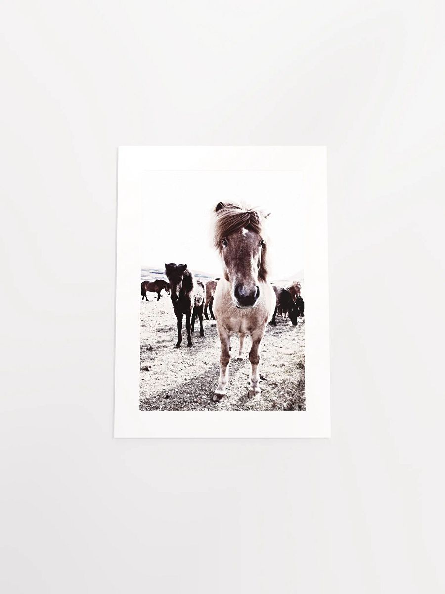 Iceland Horses Passepartout Print product image (32)