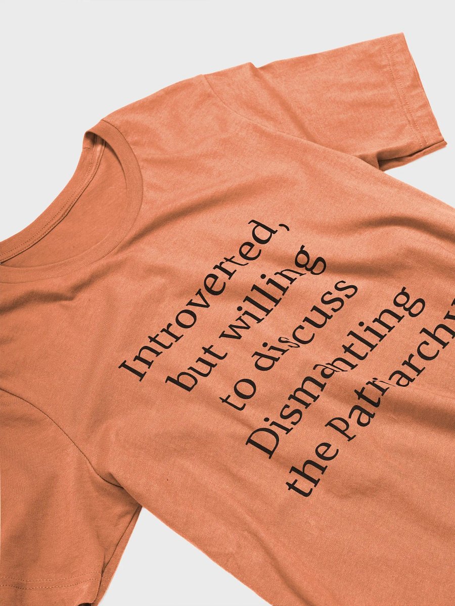 T-Shirt: Dismantling the Patriarchy product image (3)