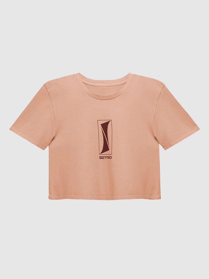 Flux Logo - Ladies Crop Top (Pink) product image (1)