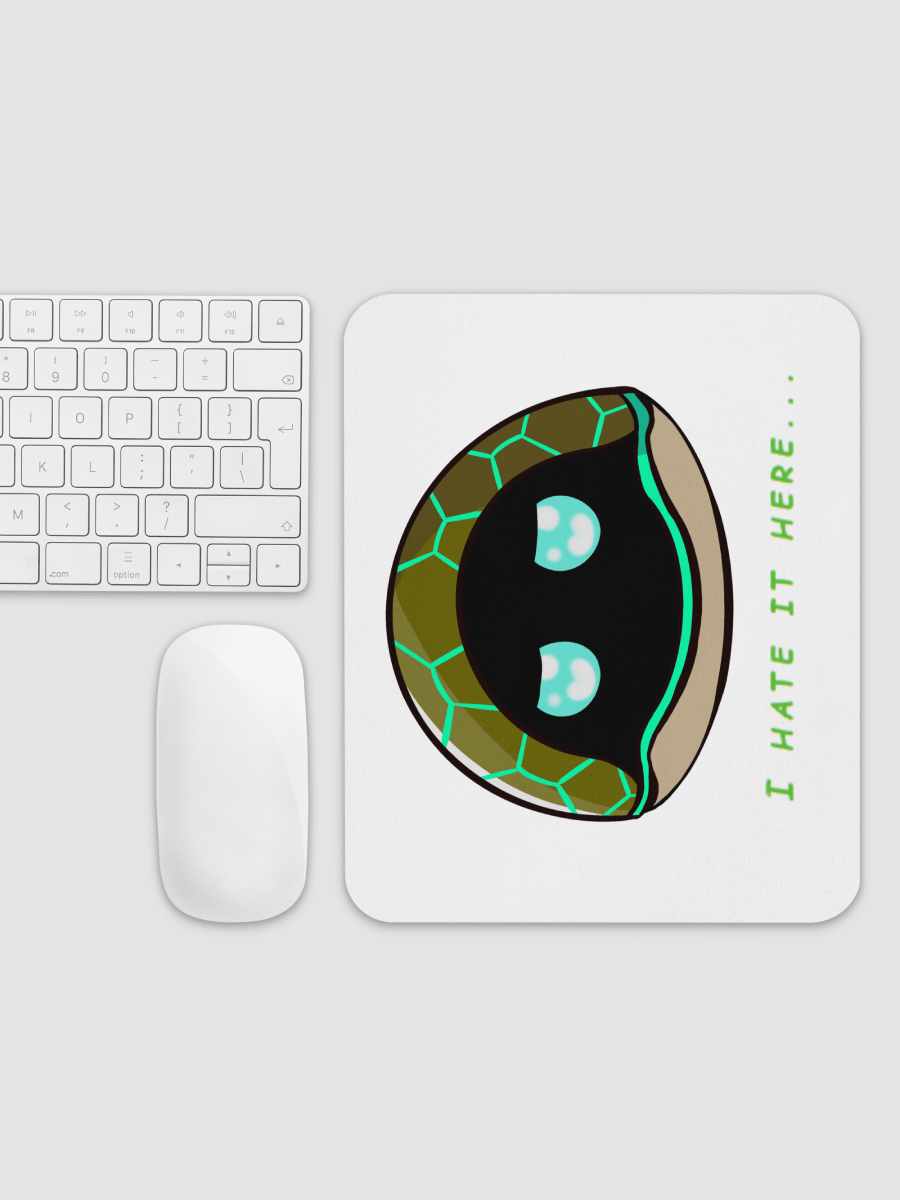 Chrispy_turtle 