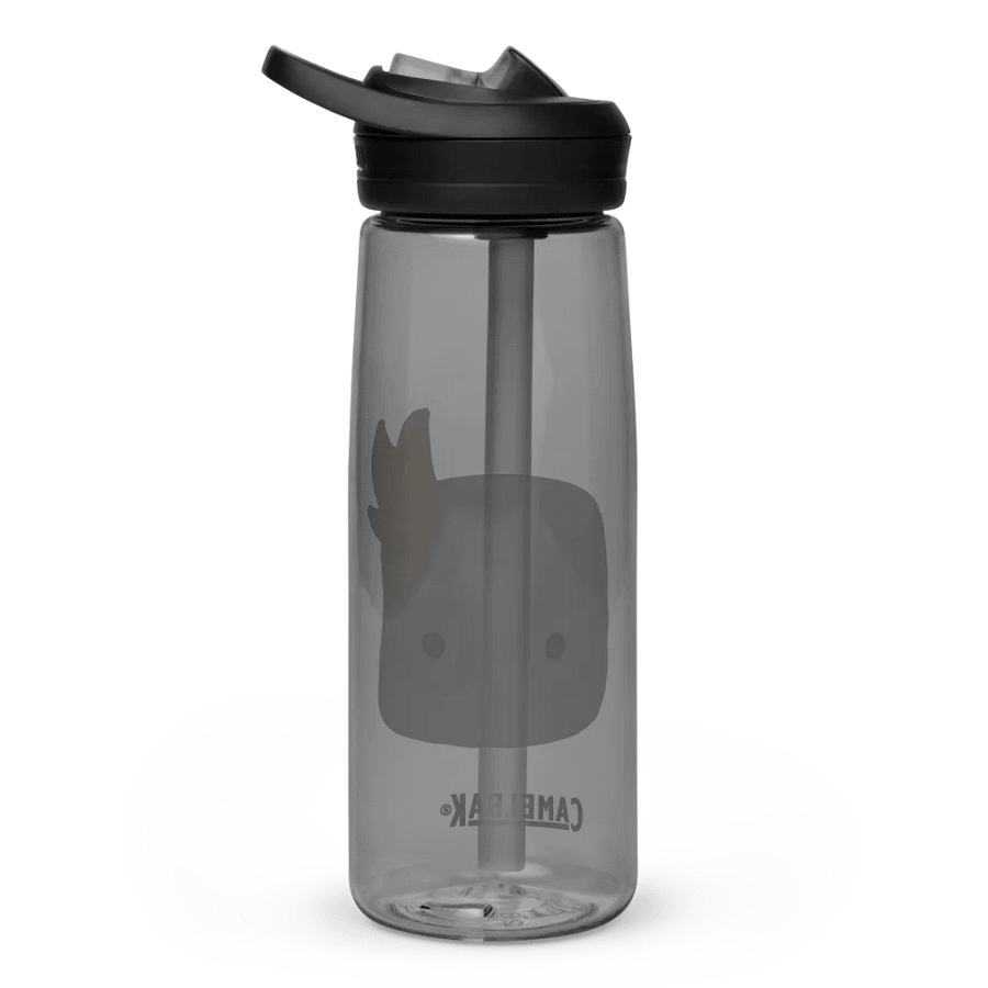 Toasty Water Bottle product image (4)