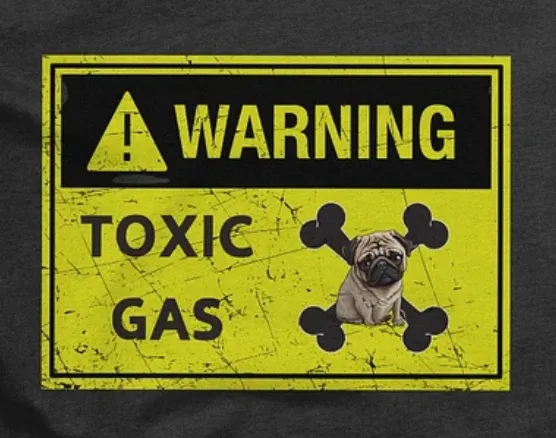 Pug Warning toxic gas, smelly dog fart, hazardous material label, cute joke, funny pun, unisex hoodie product image (2)