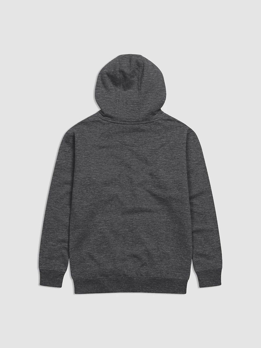 20K Plush Hoodie (two colors) product image (3)