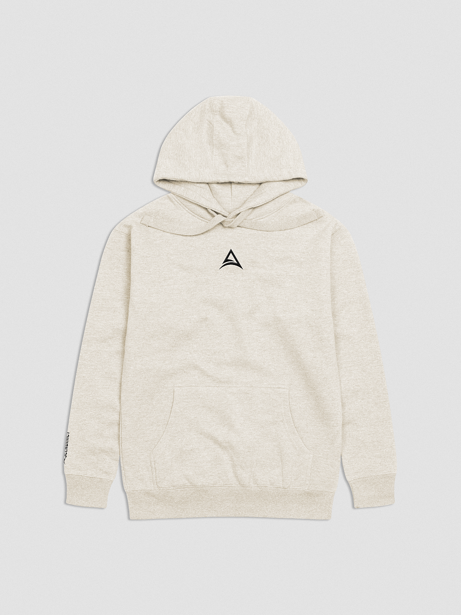 ASCENDANCY Premium Hoodie // Embroided Logo Black product image (13)