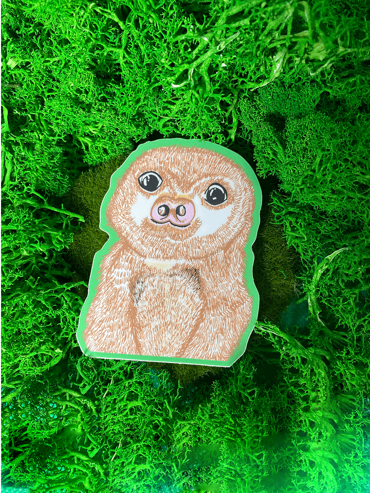 Sloth product image (1)