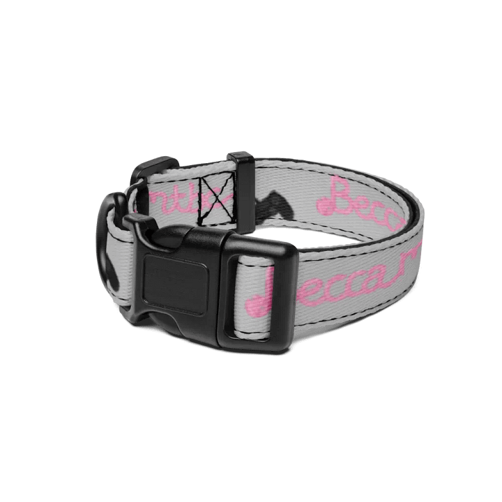 Dog Collar product image (1)
