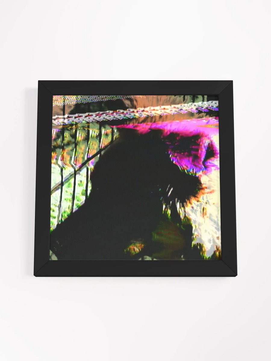 Ms Chimkin (German Shepherd) product image (4)