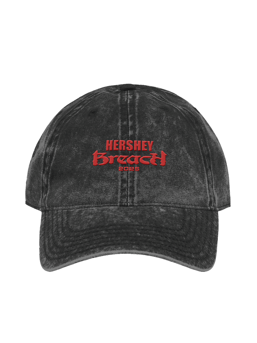 Breach Hersheypark Stadium Dad Hat product image (1)