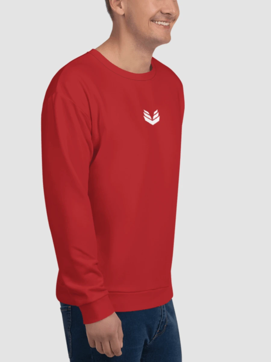 Sweatshirt - Berry Red product image (4)