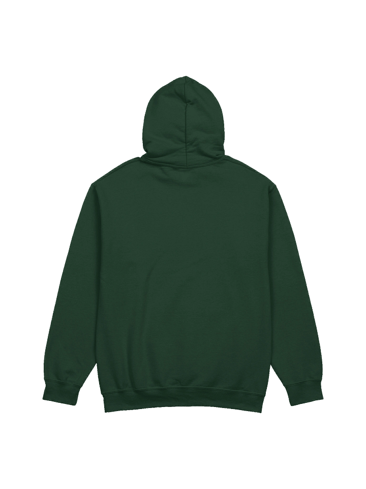 Created With A Purpose : Gildan Hoodie | Christian Faith | Alzheimer and Brain Disorder Awareness | Gift To Mom, Dad, Child With Brain Disease product image (7)