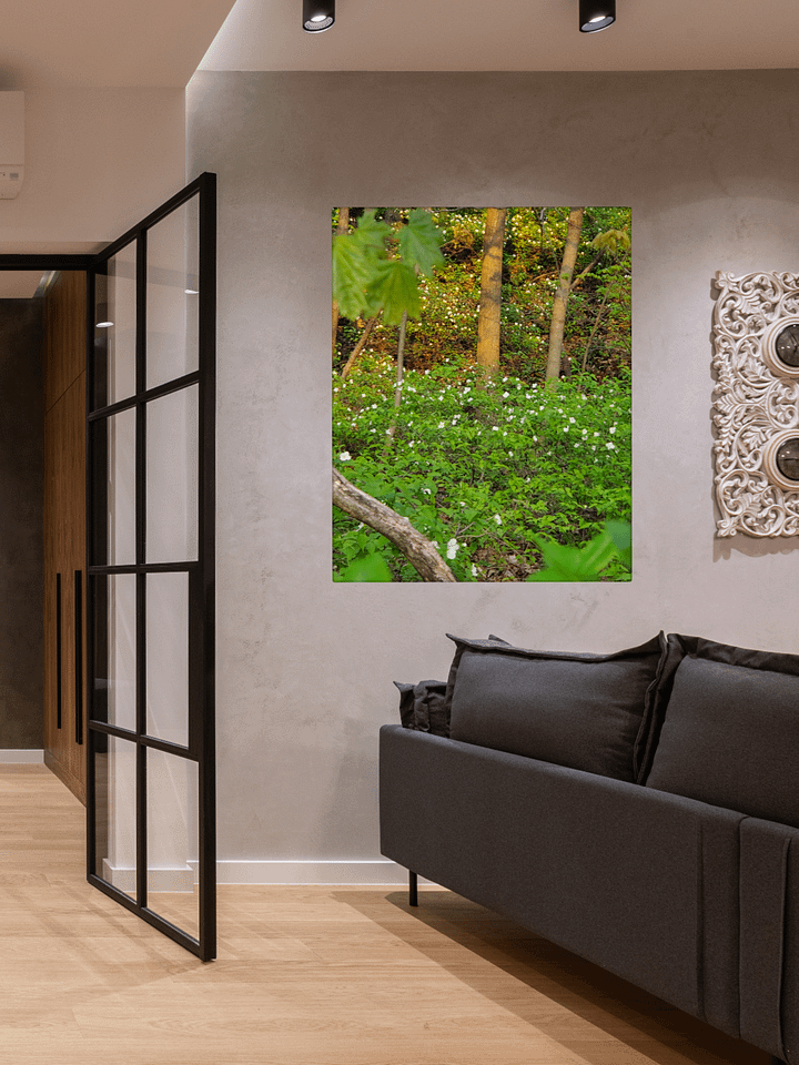 Sunlit Woods | Nature, Trees and White Flowers Woodland, Photograph product image (94)