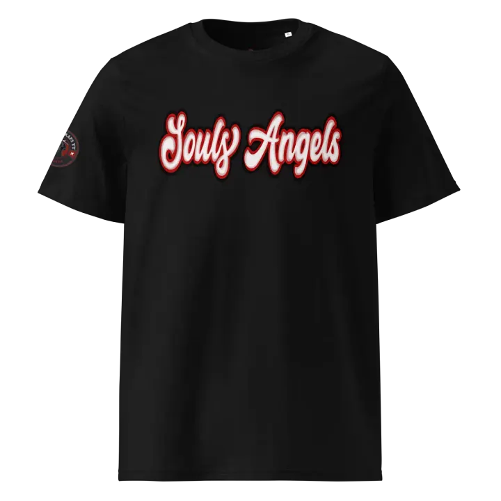 Souls Angels product image (1)