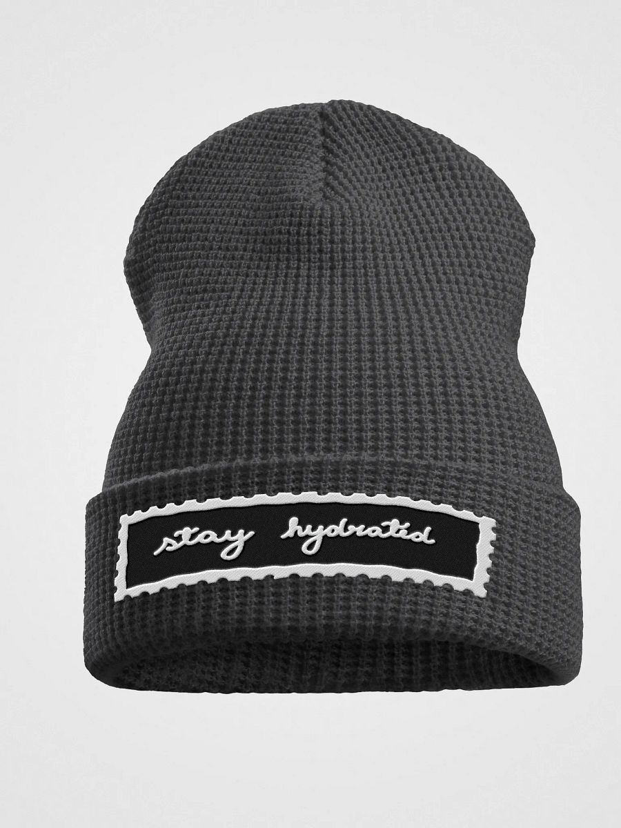 Stay Hydrated - Waffle Beanie product image (1)