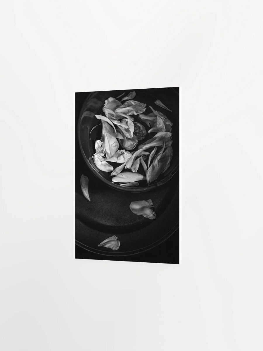 Floating Petals - Print product image (3)