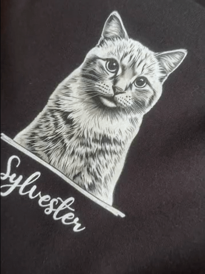 SYLVESTER 💙 / PRINTED HOODIE product image (2)