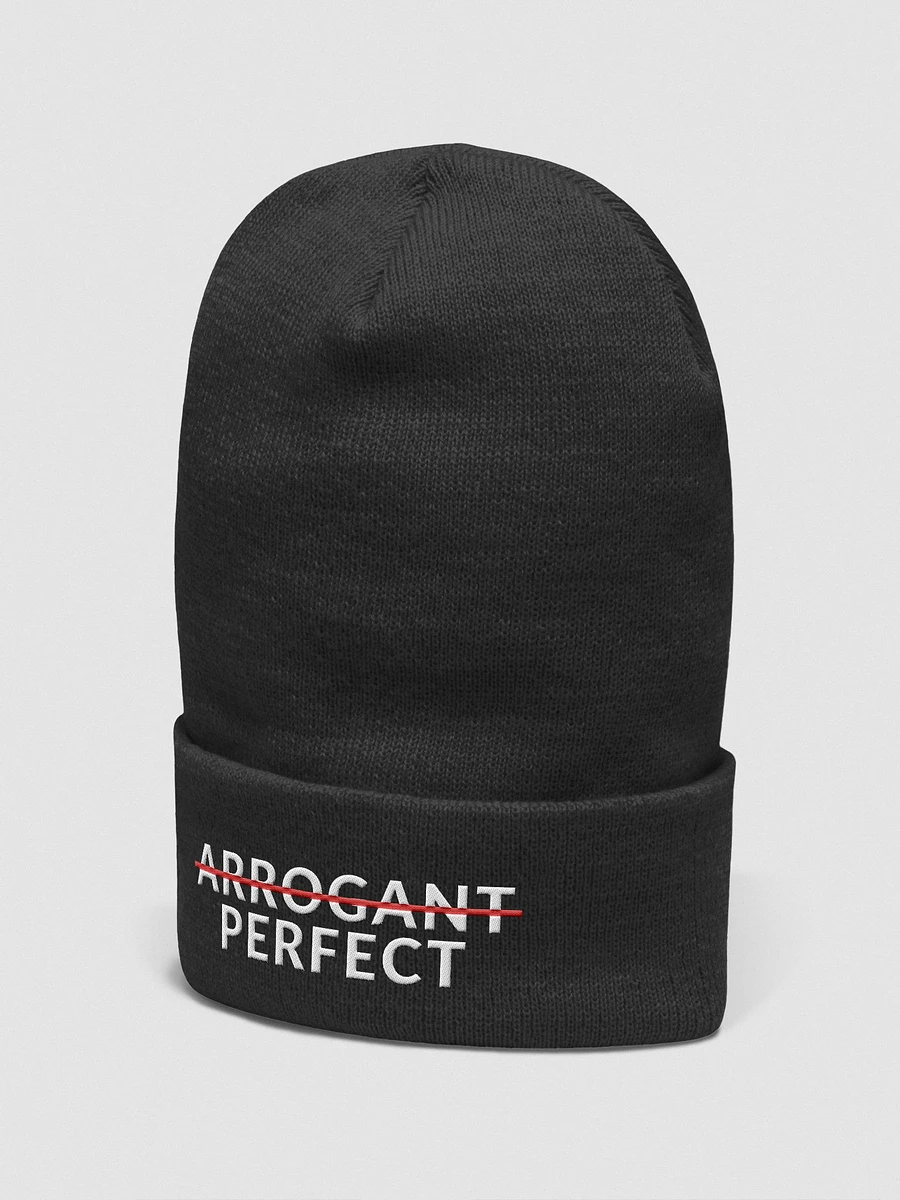 ARROGANT PERFECT - BEANIE product image (5)