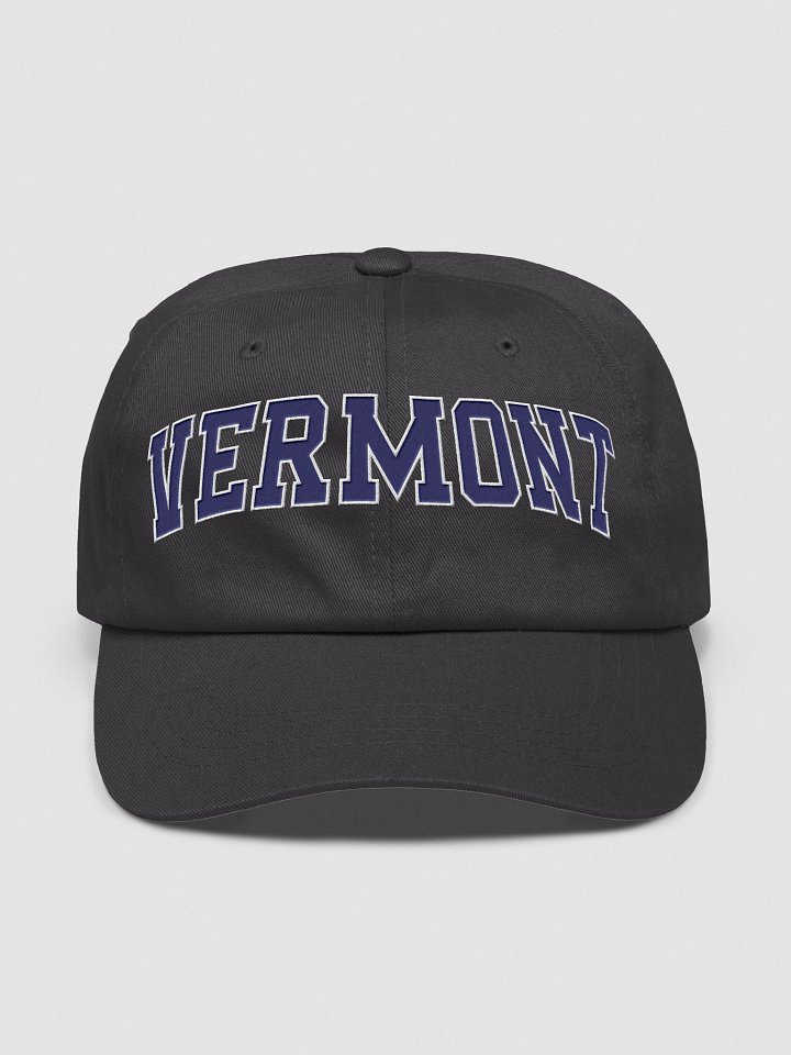 Vermont Vintage Varsity Classic Dad Hat product image (17)