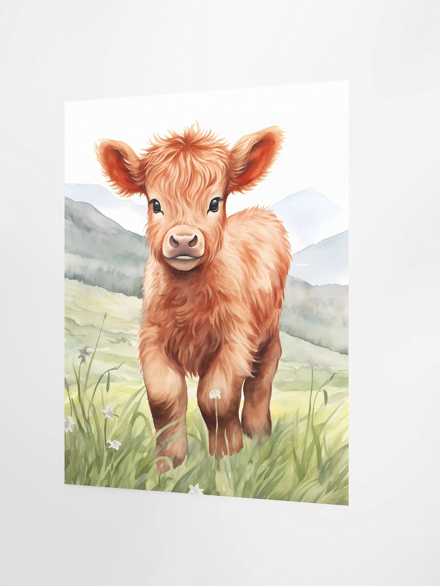 Highland Calf Poster product image (4)