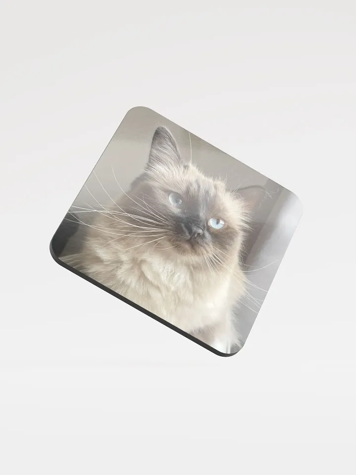 Lilith Coaster product image (1)