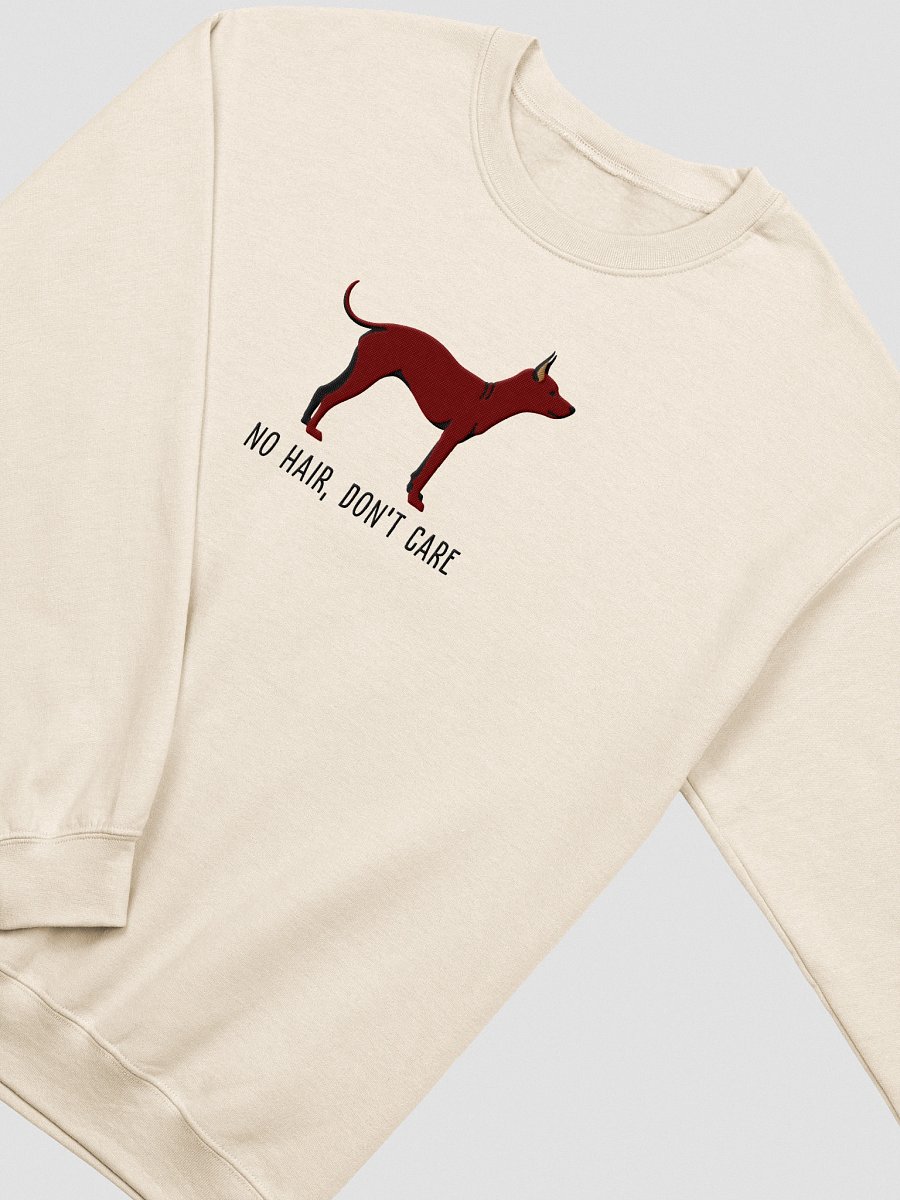 No Hair, Don't Care Sweatshirt (Embroidered) of an American Hairless Terrier(Chocolate) product image (15)