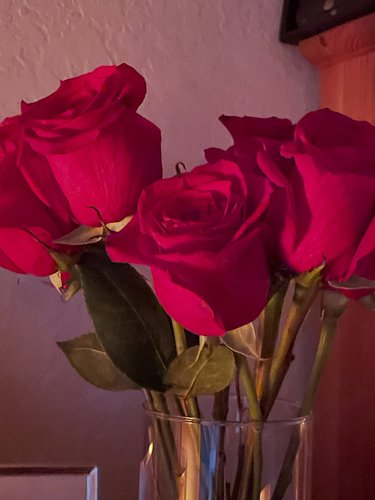 The roses are from Mr… what do you think they are saying ? That he hopes I feel better or he love me and hopes I feel better ...