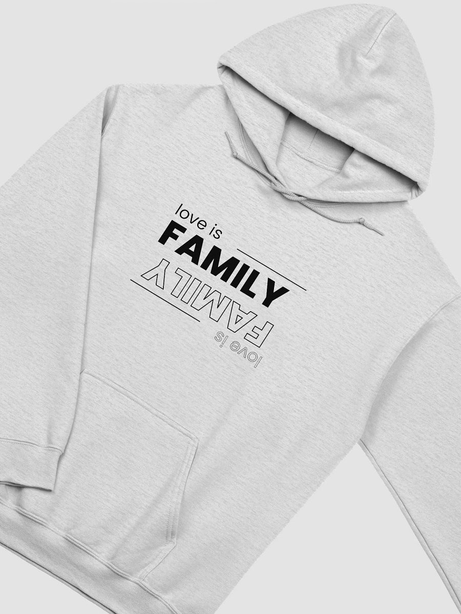 Love is Family Classic Hoodie product image (17)