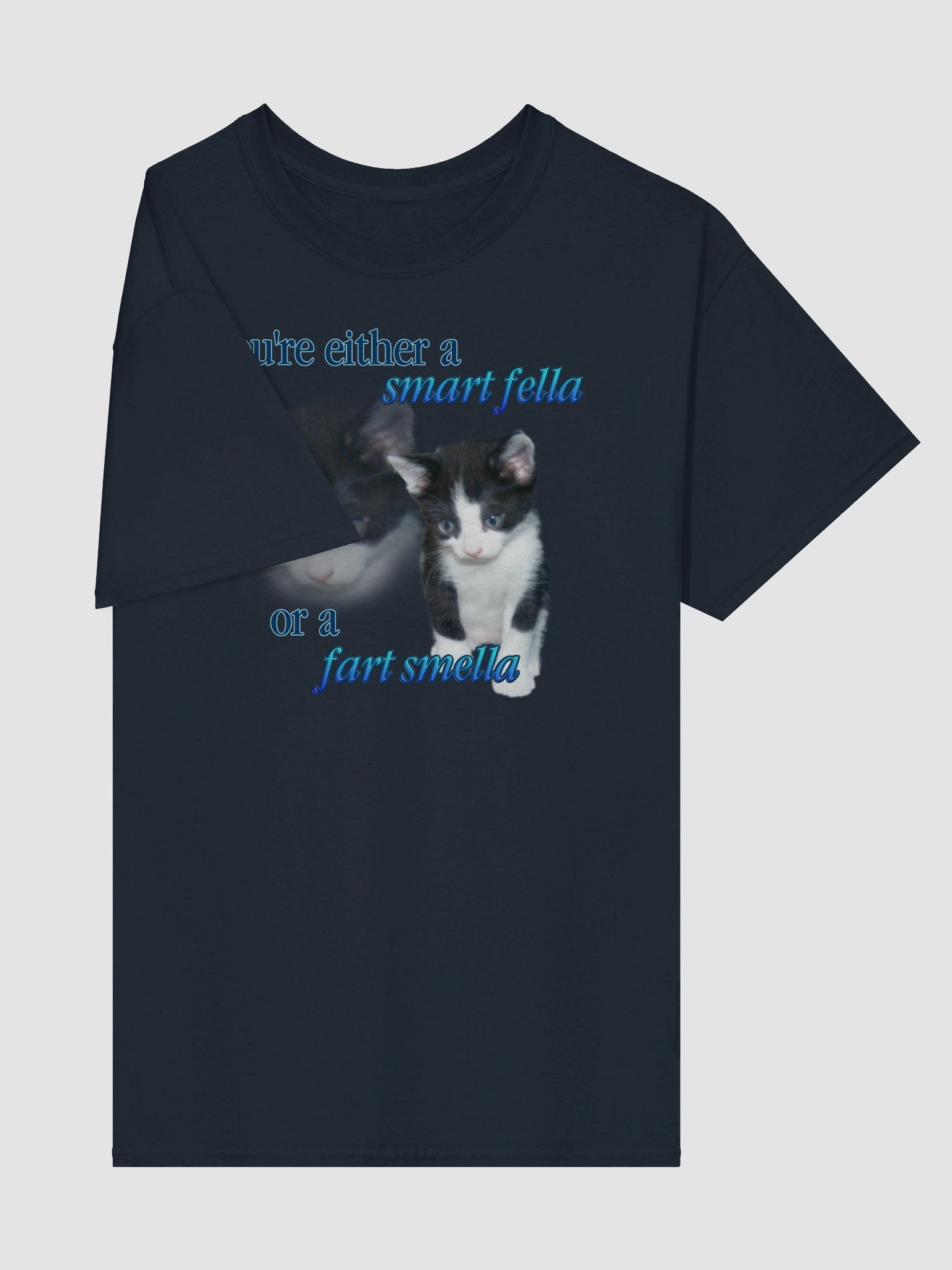 Smart Fella or a Fart Smella - Cat T-shirt product image (89)