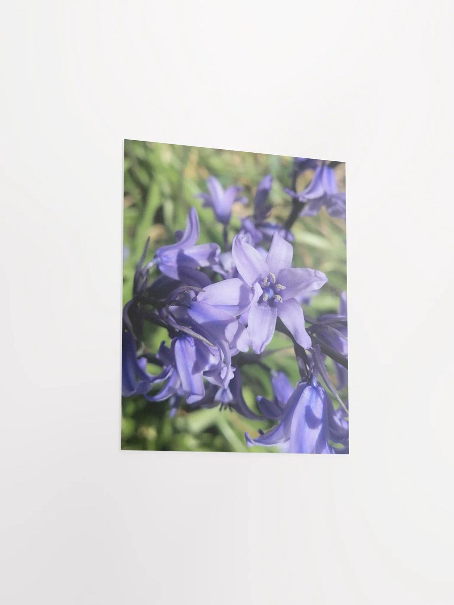 Bluebell Print Poster, Floral Art Poster, 8x10 or 16x20