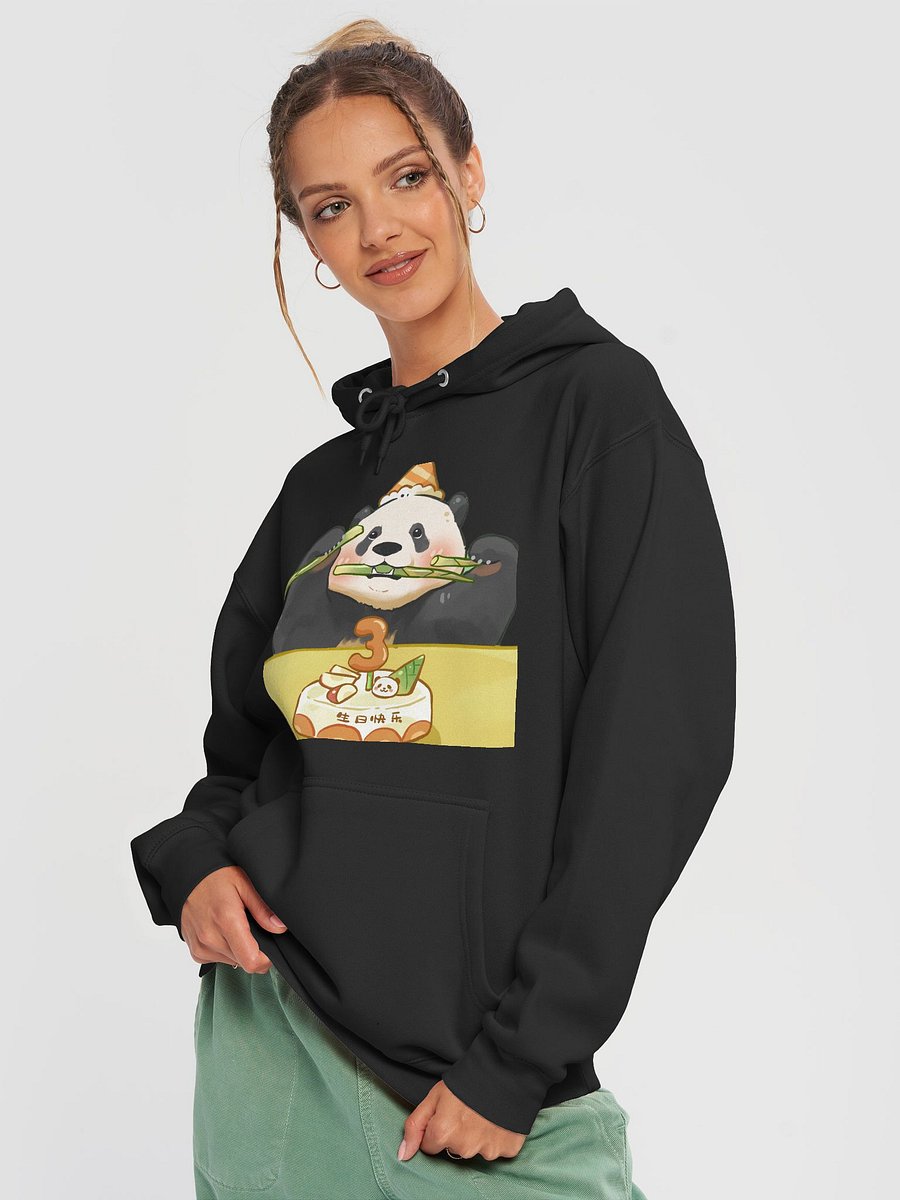 BEICHEN🐼Giant Panda product image (18)