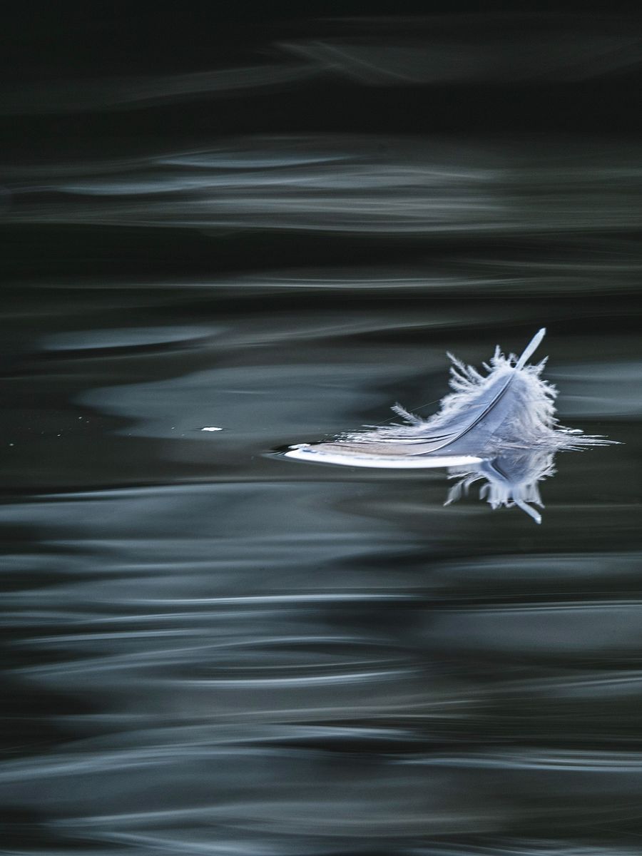 Birds Of A Feather product image (1)