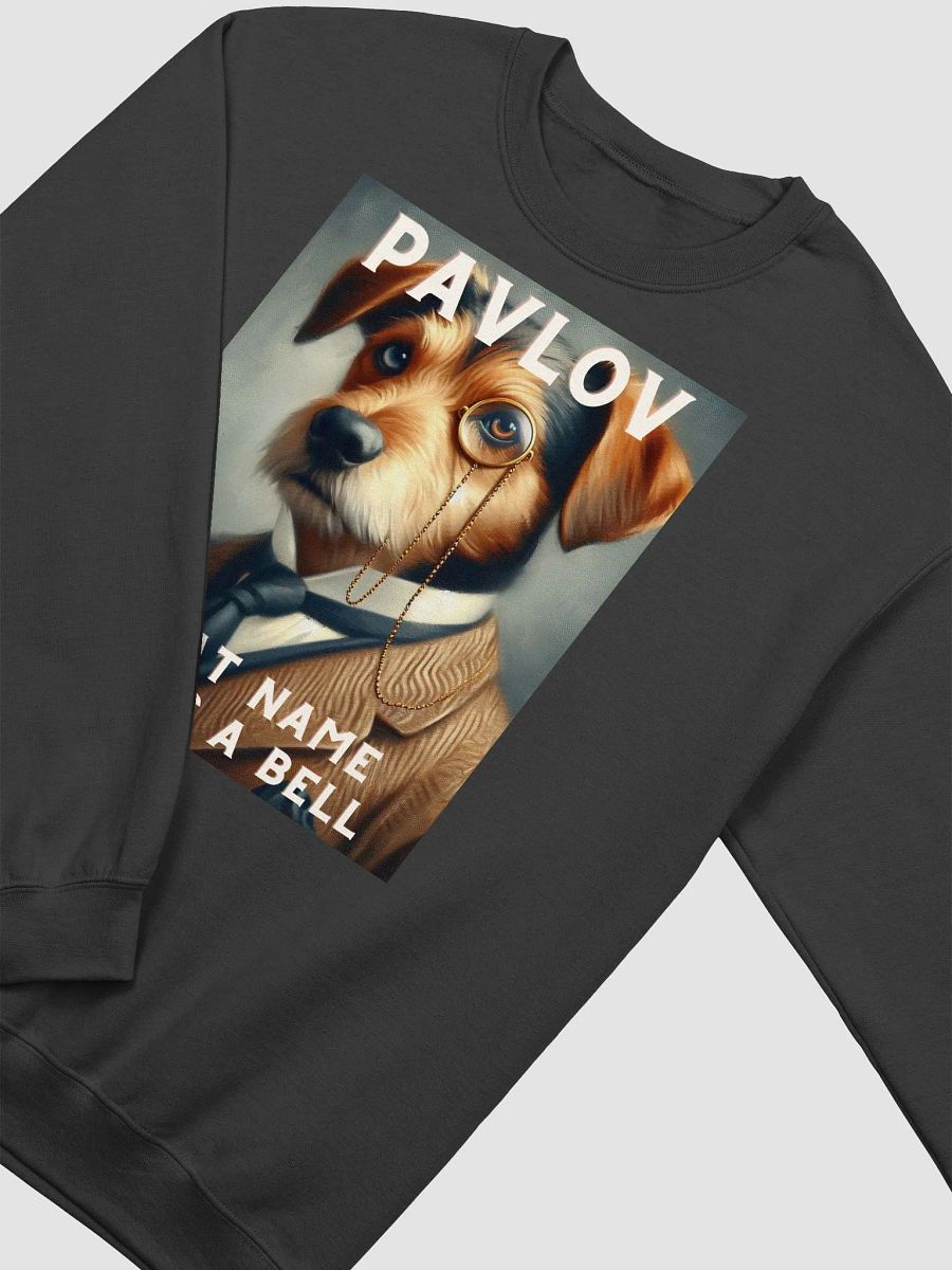 Pavlov product image (2)