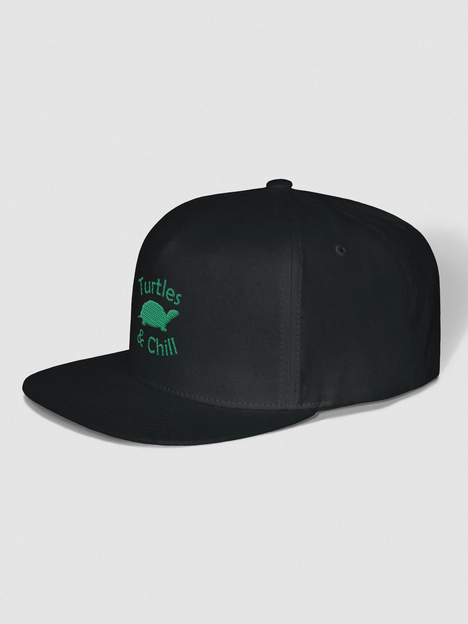 T&C Snapback product image (2)