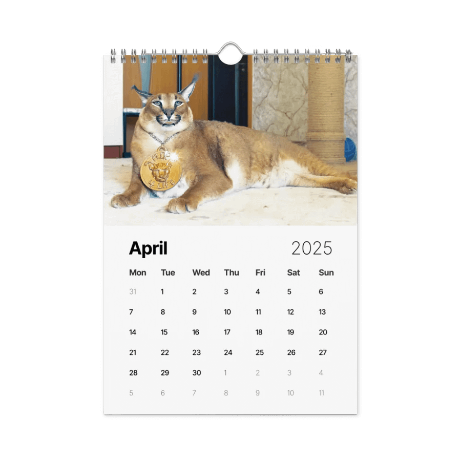 FLOPPA CALENDAR FOR 2025 product image (2)