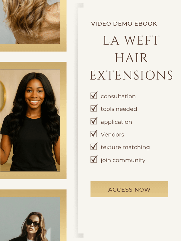 Master Braidless LA Weft Extensions product image (1)