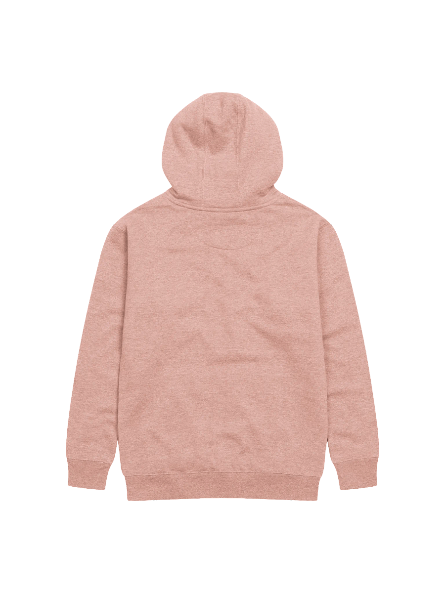 today is the day hoodie (gentle) product image (2)