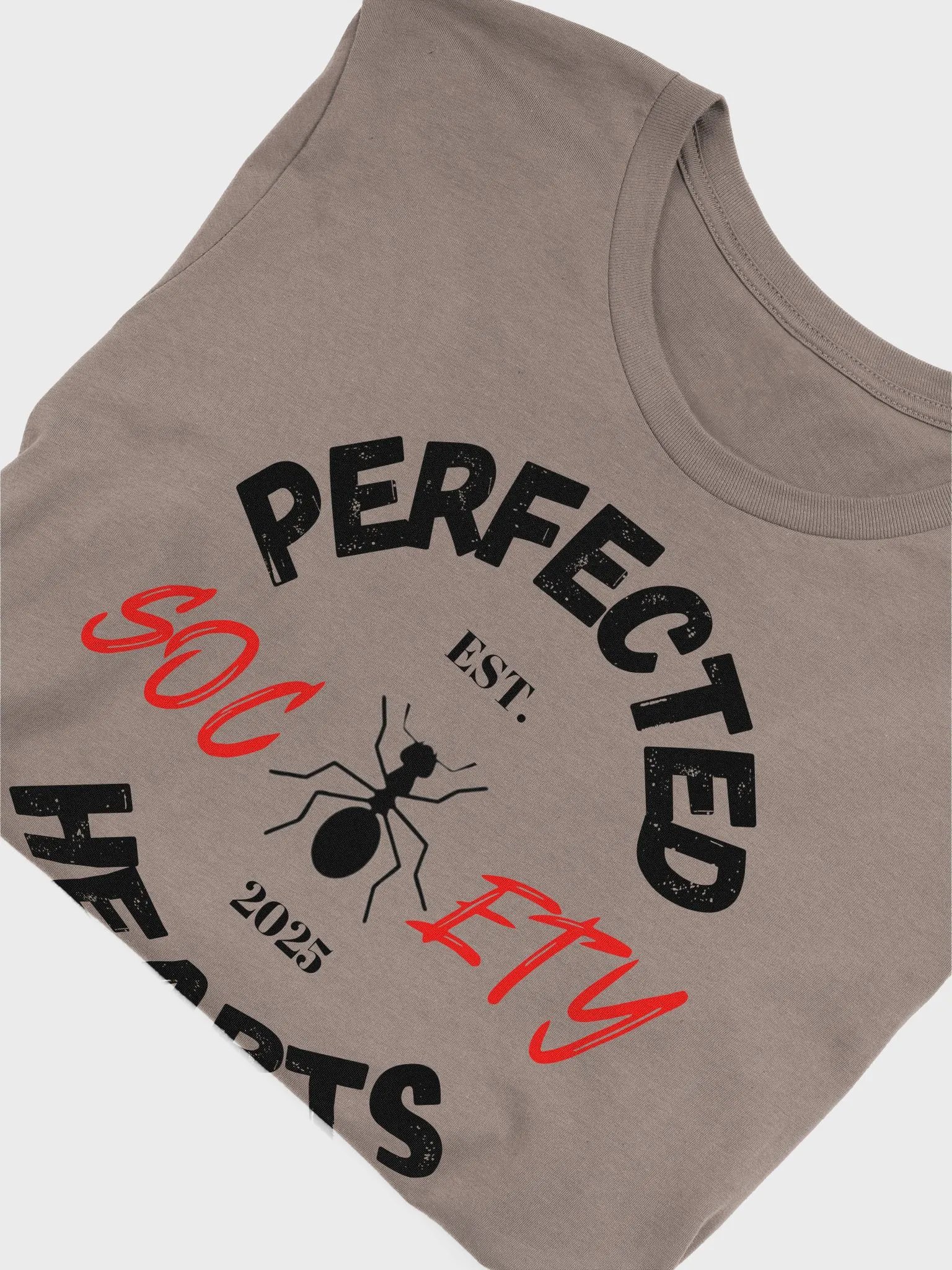 PHS Joshua 23:9-11 Scripture Tee product image (5)