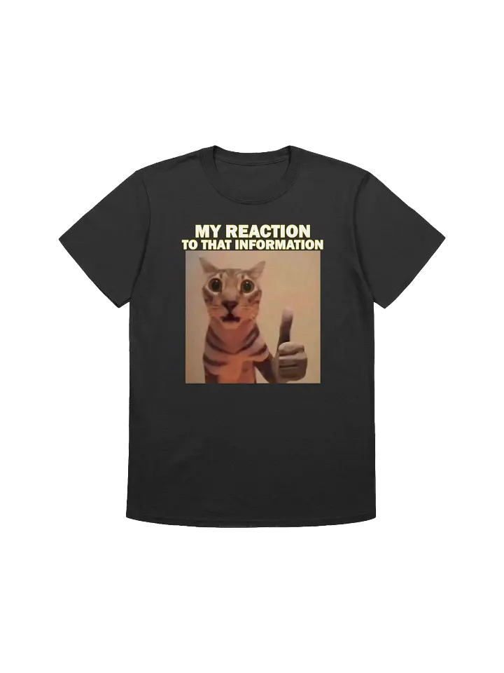 MY HONEST REACTION TO THAT INFO T-SHIRT product image (3)