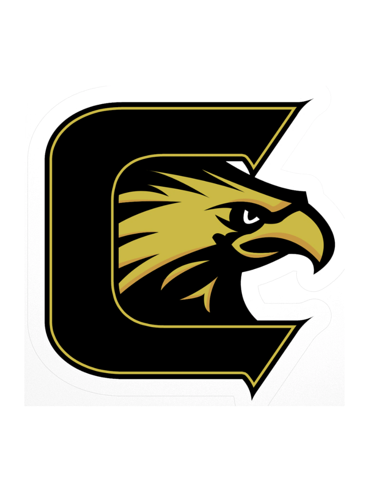 Falcon Kiss Cut Stickers product image (1)