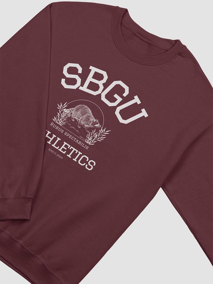 SBGU: Athletics Dept. product image (2)