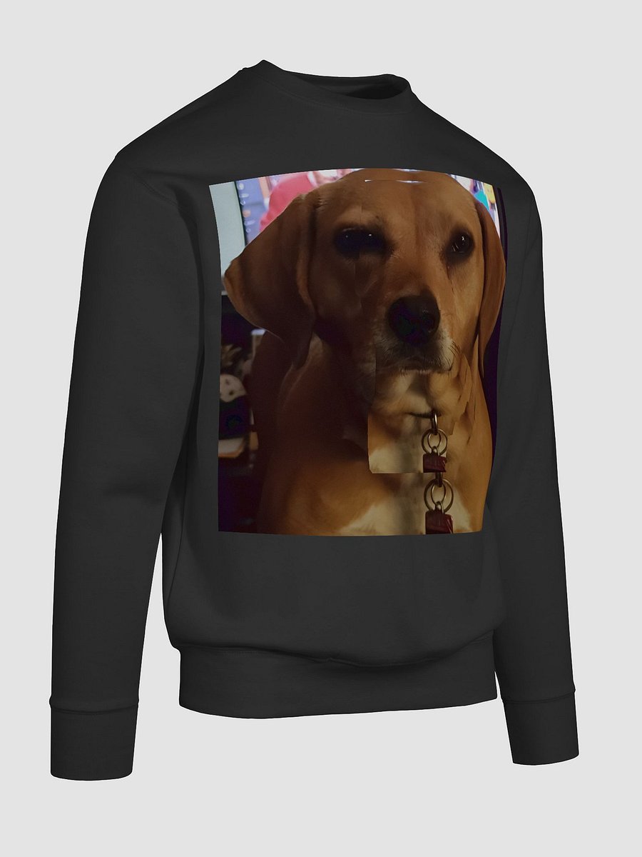 Luna Sweatshirt product image (92)