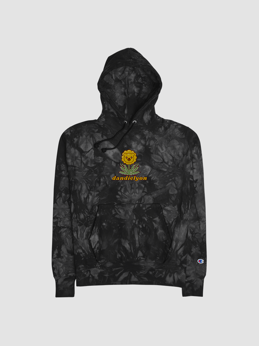dandielyon Champion tie dye hoodie product image (1)