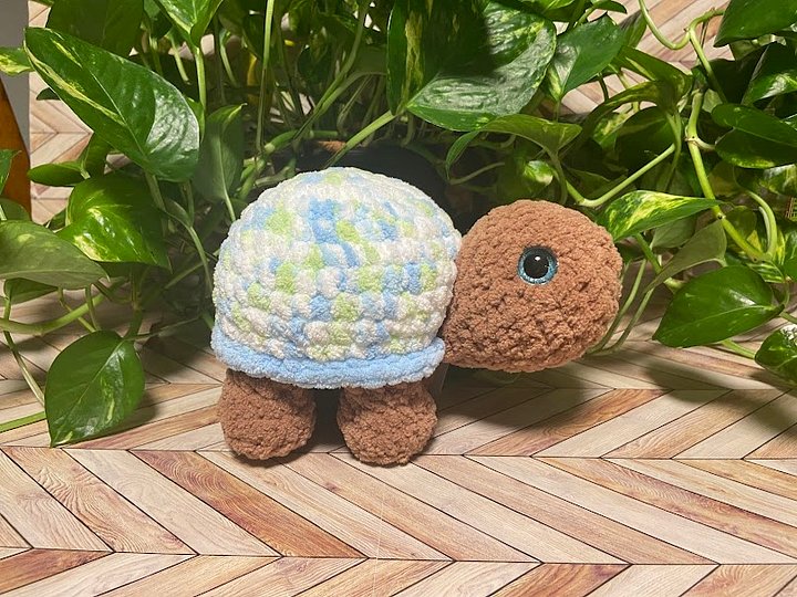 Box Turtle product image (1)