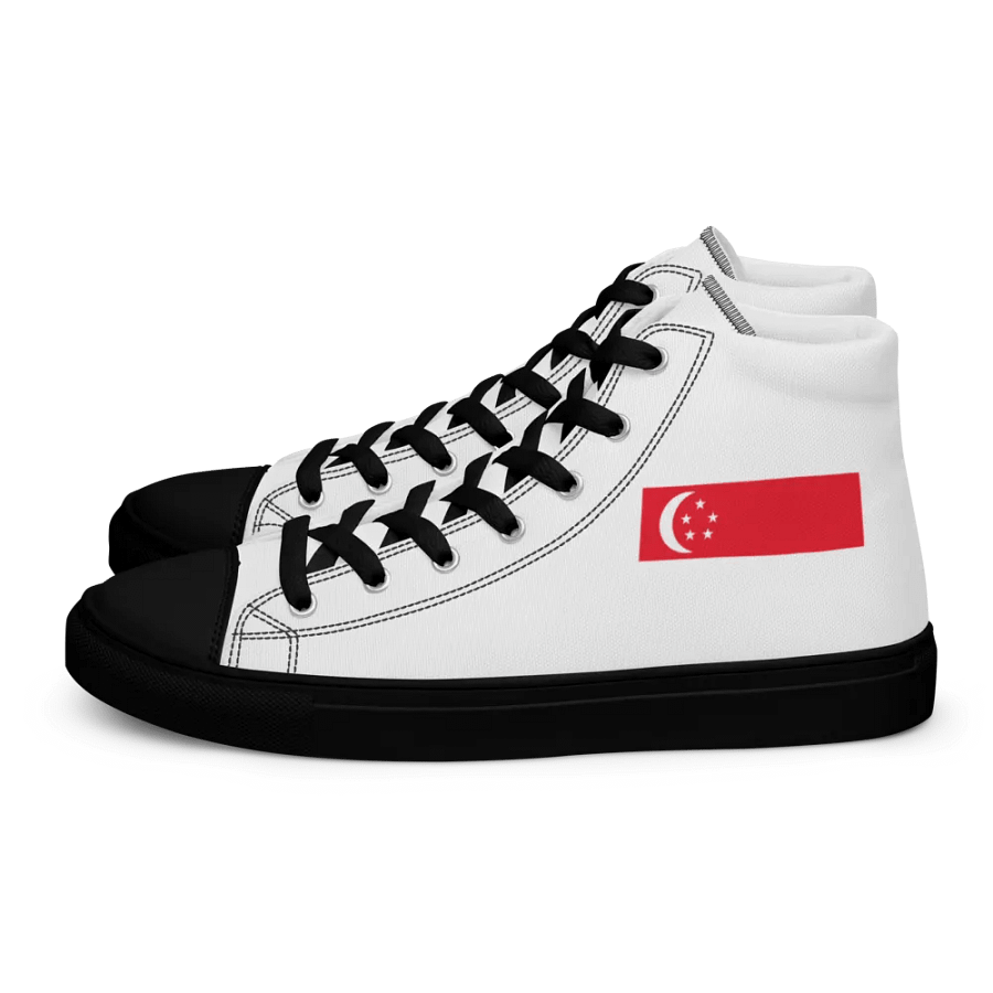 singapore product image (1)