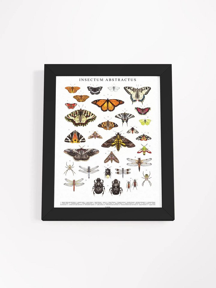 INSECTUM ABSTRACTUS - Framed Print product image (5)