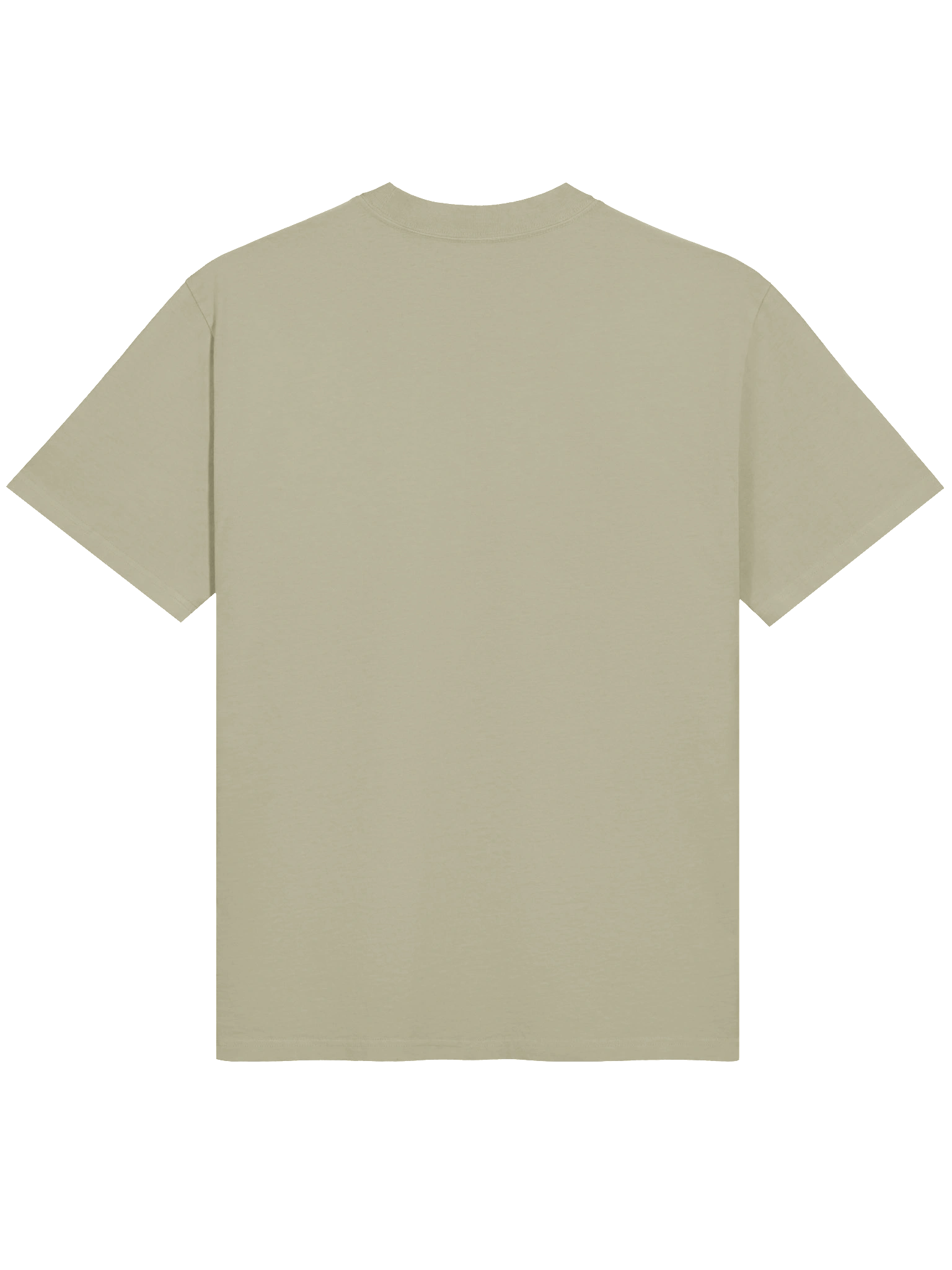 Verdant Venom: Poison Ivy Beware My Embrace Oversized Faded T-Shirt product image (6)